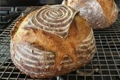Sourdough Bread