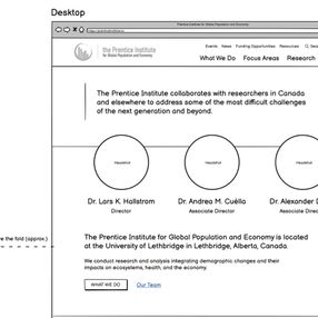 Wireframe with hero copy, CTA buttons, focus areas grid, and news/resources sections in priority order. Wireframe with hero copy, CTA buttons, focus areas grid, and news/resources sections in priority order.